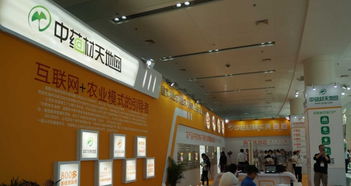 匠心筑展，茶韻飄香 福州展覽搭建工廠的一站式專業服務